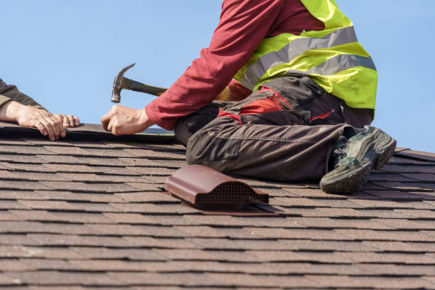 Best Roof Gutter Cleaning  in El Dorado Springs, MO
